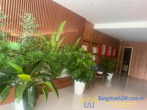 Sang nhượng spa