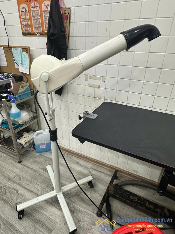 Sang cửa hàng thú nuôi